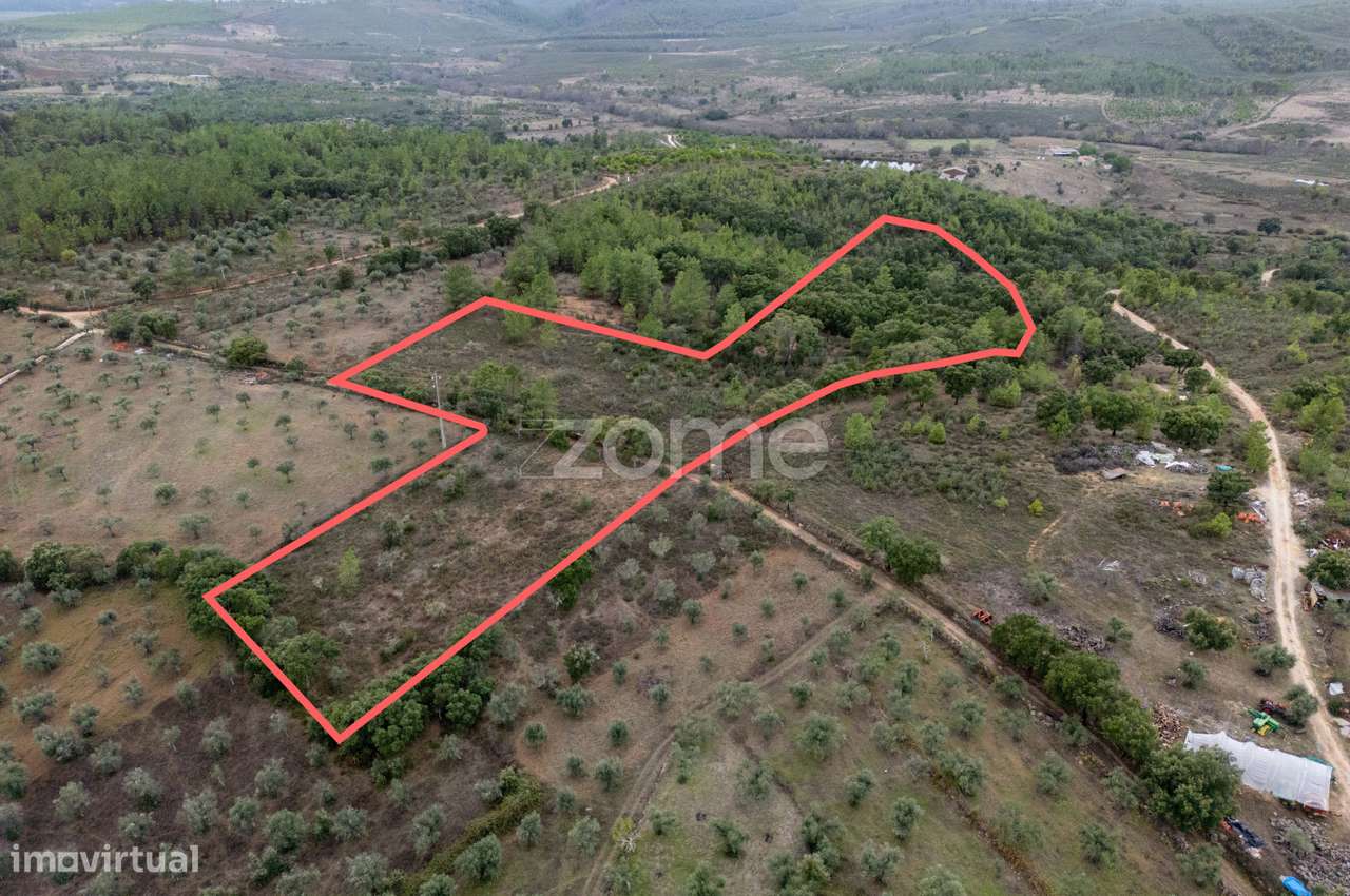 Terreno Rústico com 12.120 m² em Freixial do Campo - Castelo Branco - Grande imagem: 3/22