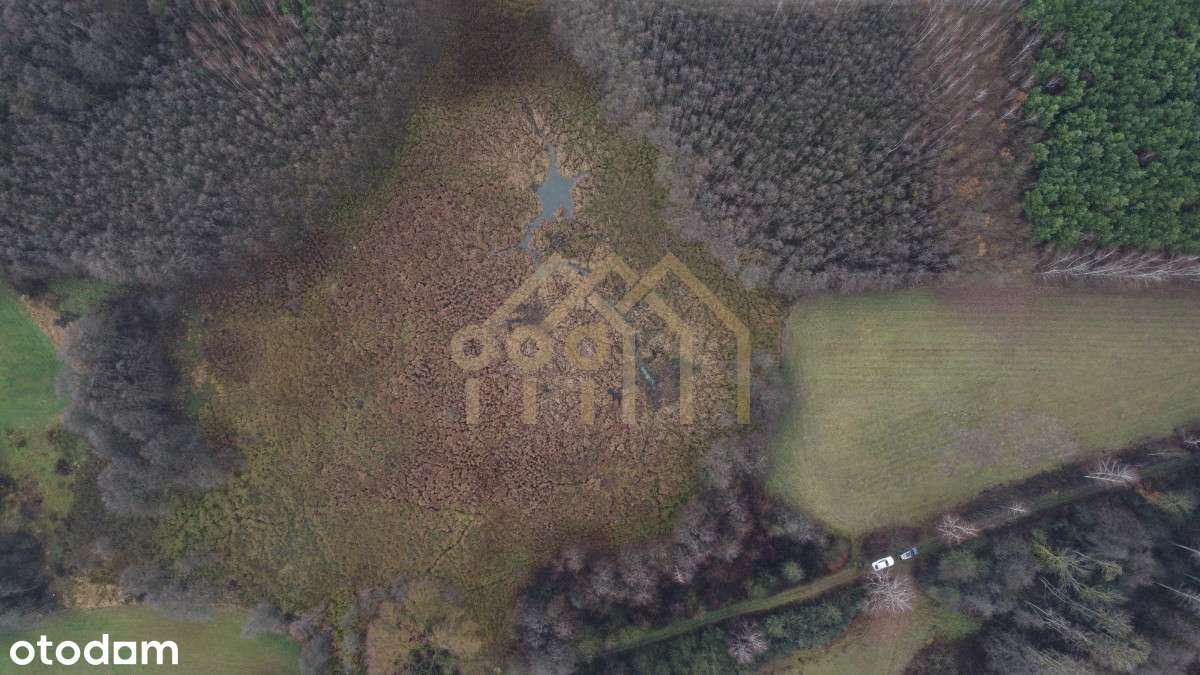 Obręb Pułtusk | 1,11 Ha idealna działka i las - Pełny obrazek: 5/13