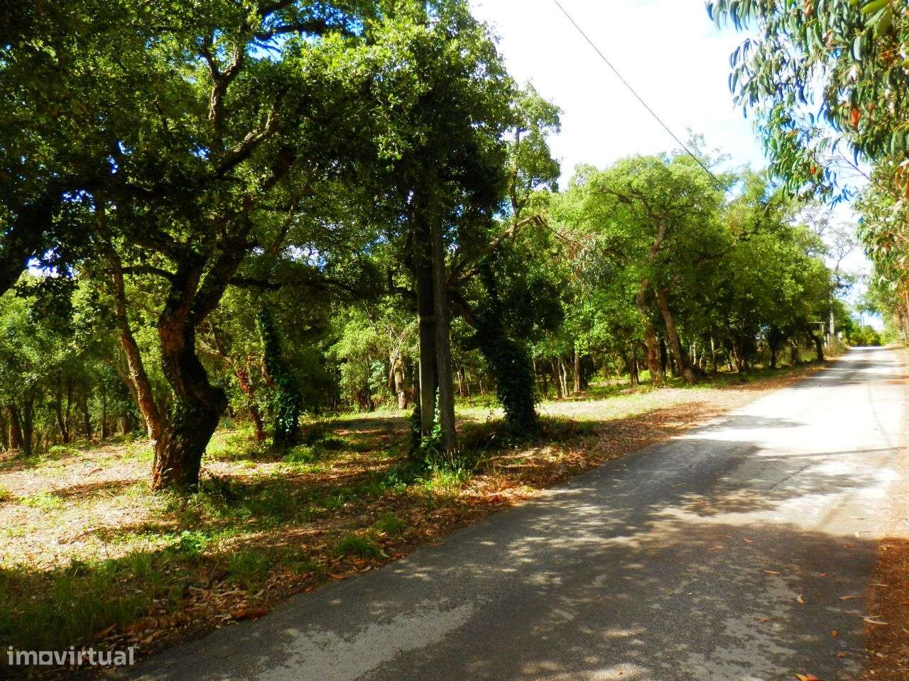 Terreno rustico com 24.985m² - Grande imagem: 2/12