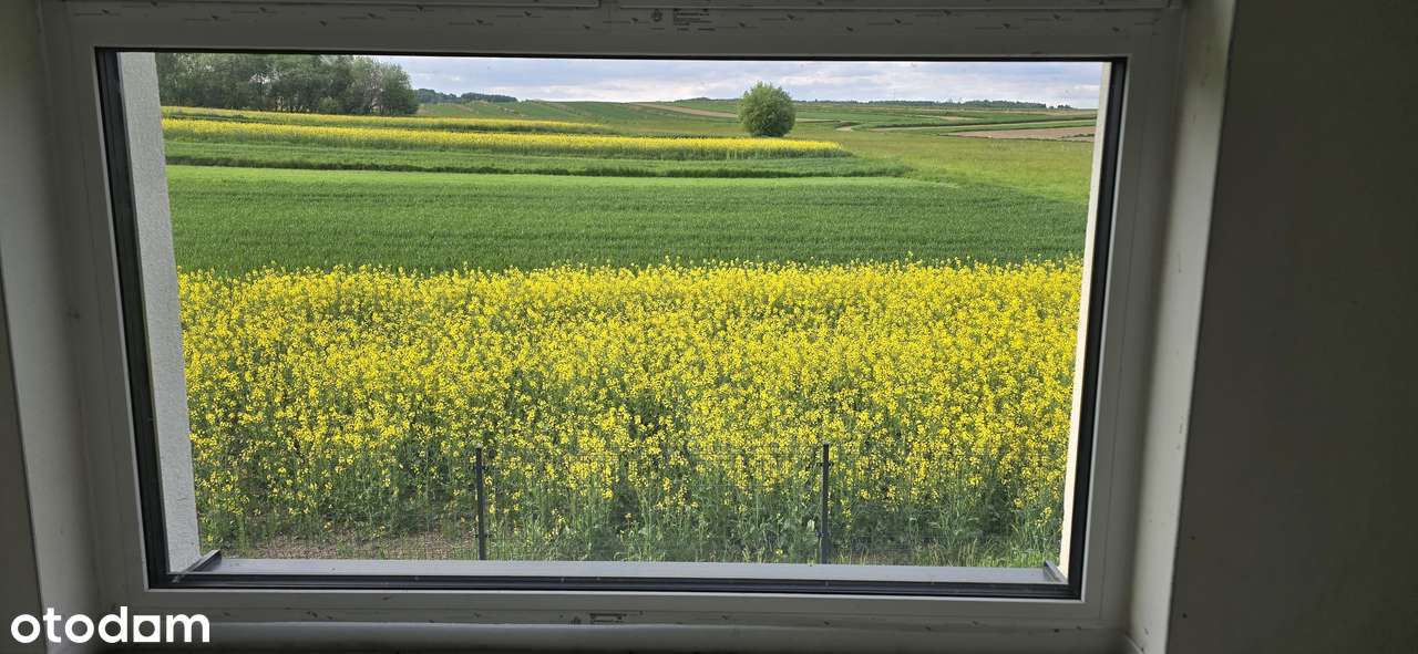 Ostatni dom na osiedlu, pompa c., podłogówka,, bezpośrednio,bez skosów - Pełny obrazek: 4/20