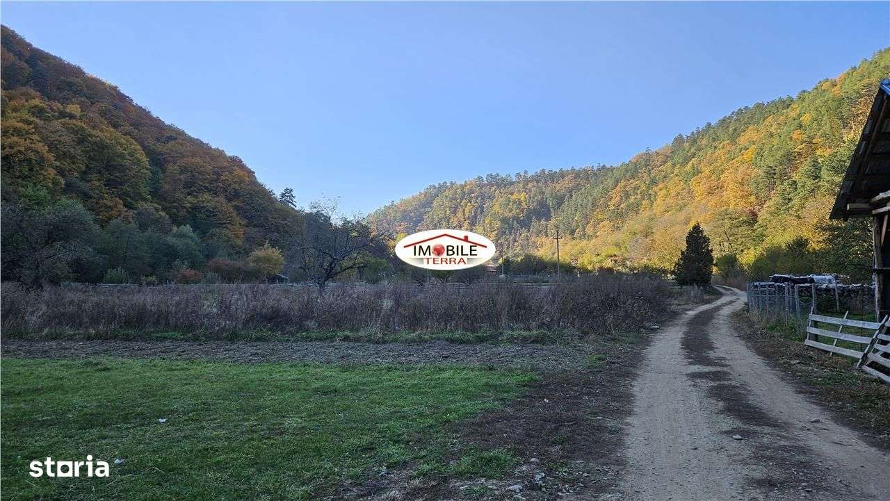 Gradina intravilan in Marginimea Sibiului sat Gales-0