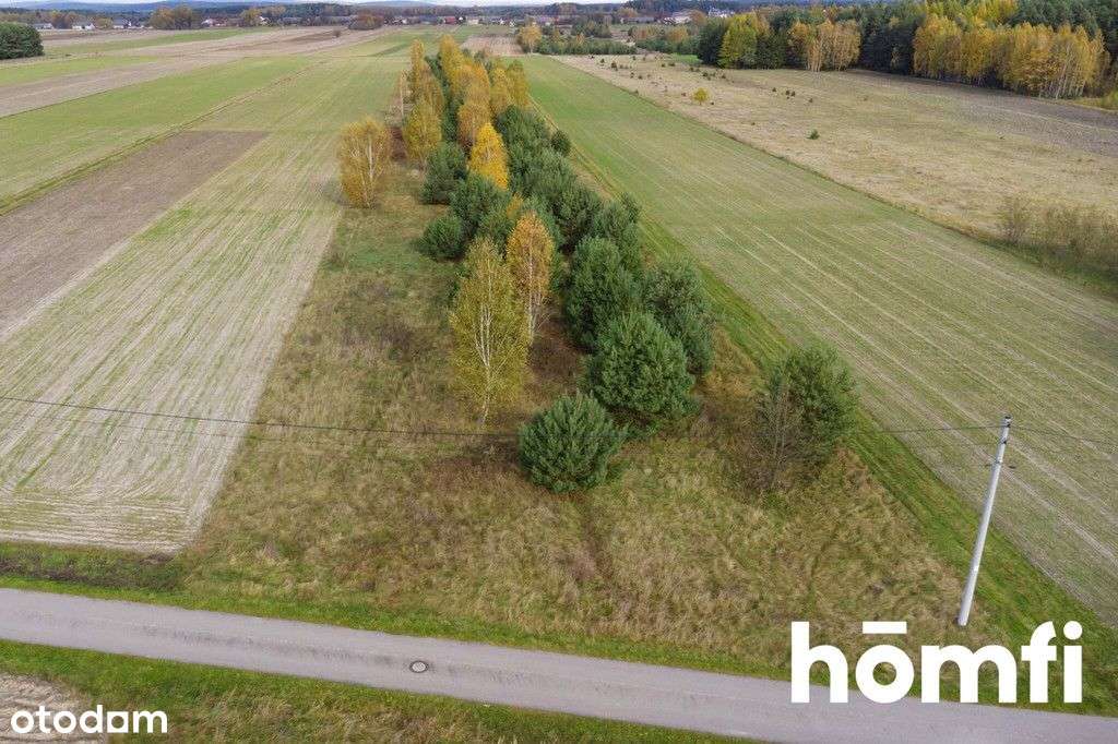 Działka z warunkami zabudowy, 20 km od Kielc - Pełny obrazek: 3/16