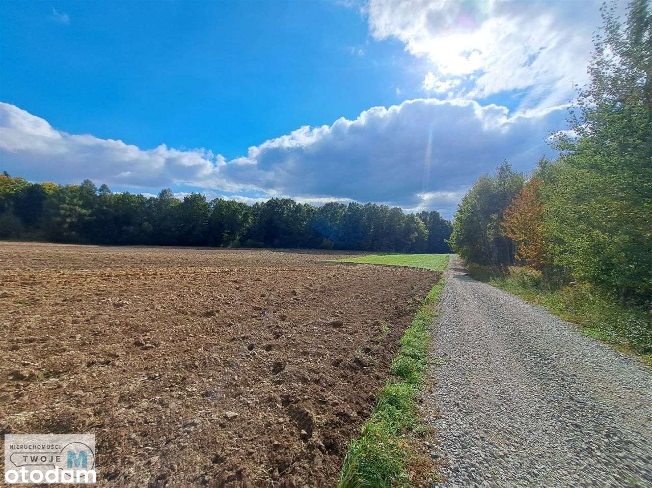 Nowa niższa cena! Działka w otoczeniu lasu! - Pełny obrazek: 2/8