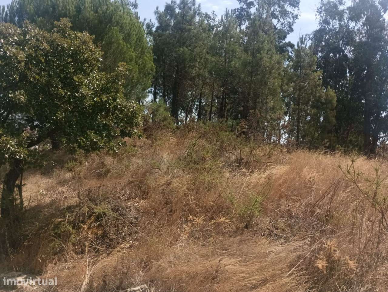 Terreno urbano, para venda, Rio Maior - São João da Ribeira e Ribei... - Grande imagem: 3/16