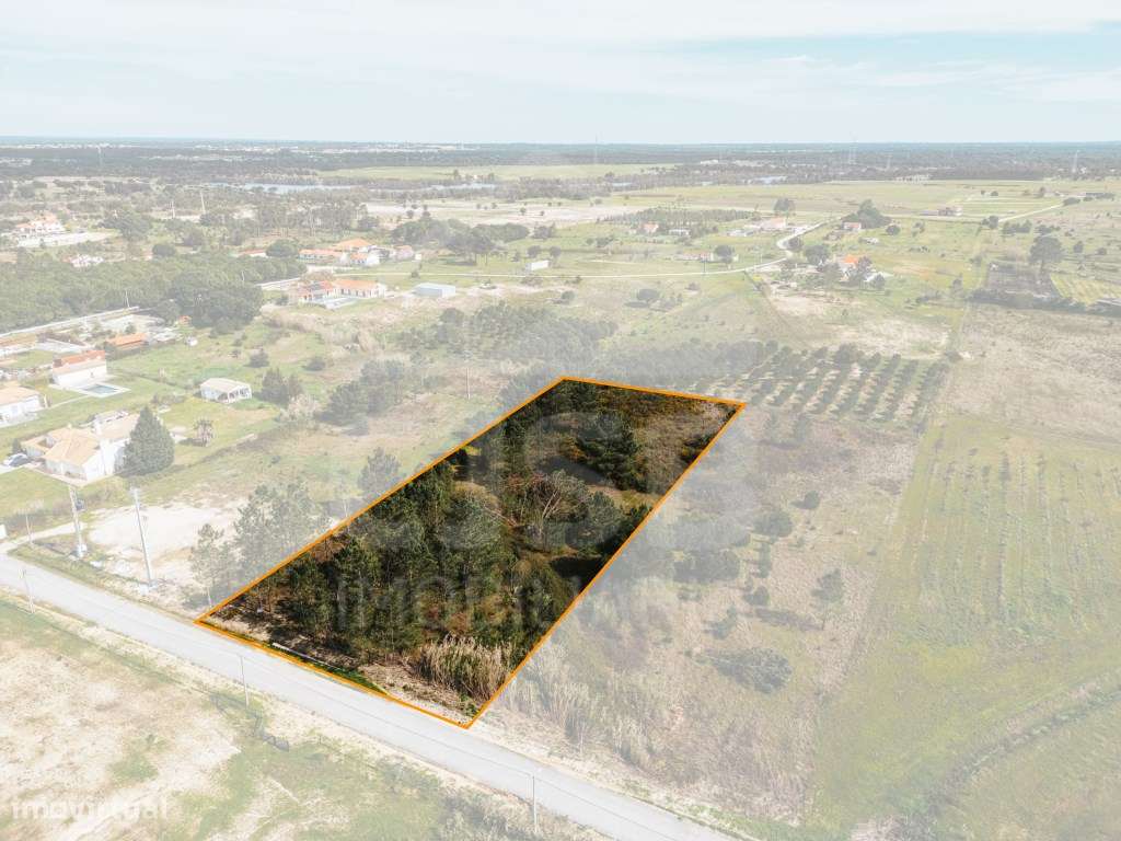 Terreno Urbano em Foros de Almada - Grande imagem: 4/16