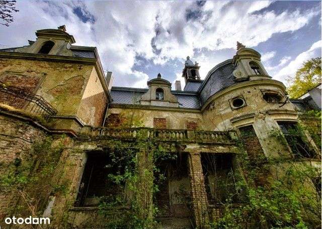 Pałac przy granicy z Wrocławiem - Pełny obrazek: 4/20