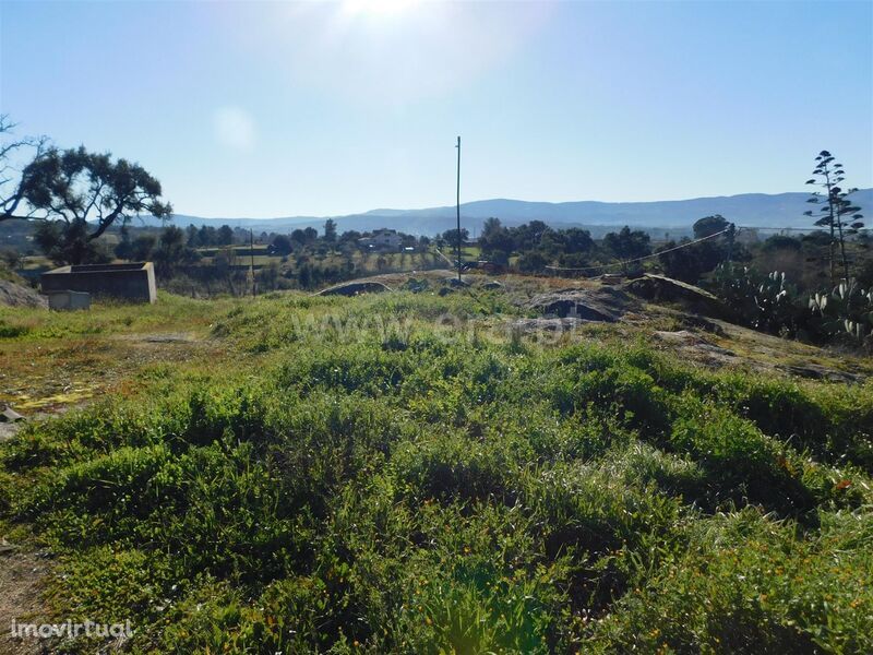 Quinta / Fundão, Pêro Viseu