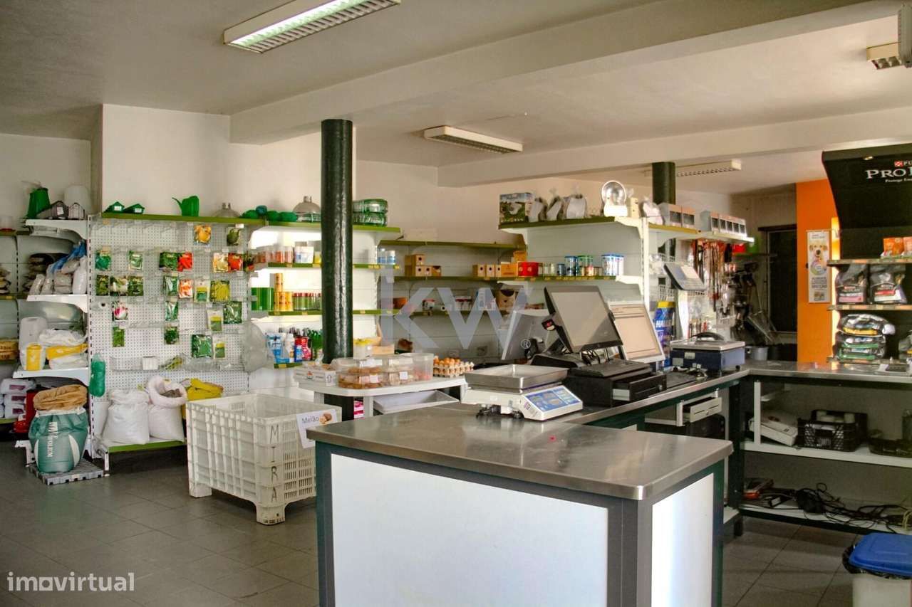 Espaço comercial | Regueira de Pontes | Estrada Nacional 109 - Grande imagem: 5/23