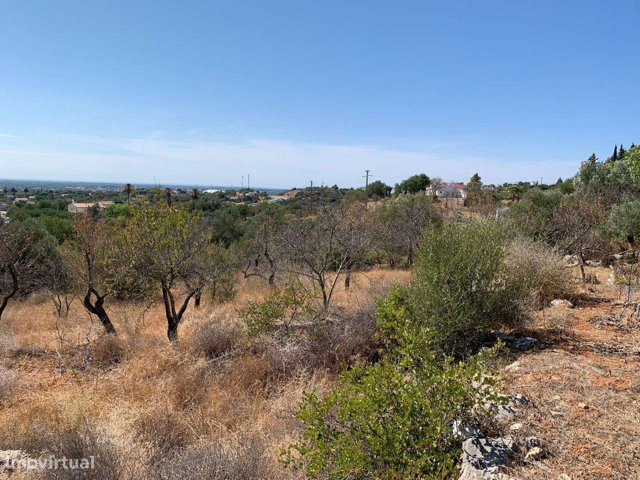 Terreno Urbano, com 3 artigos, Colmeal-36