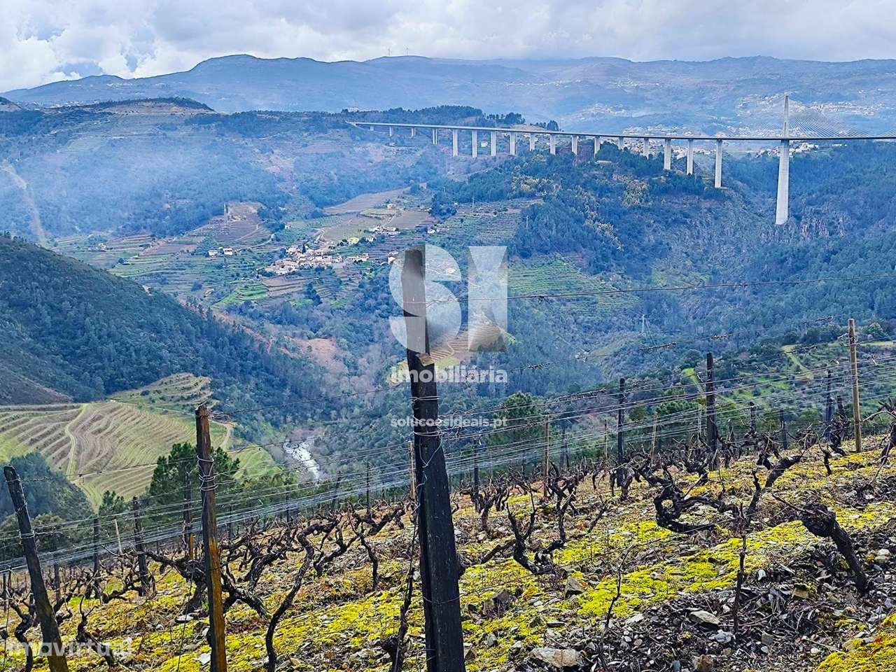 Terreno - Grande imagem: 5/16