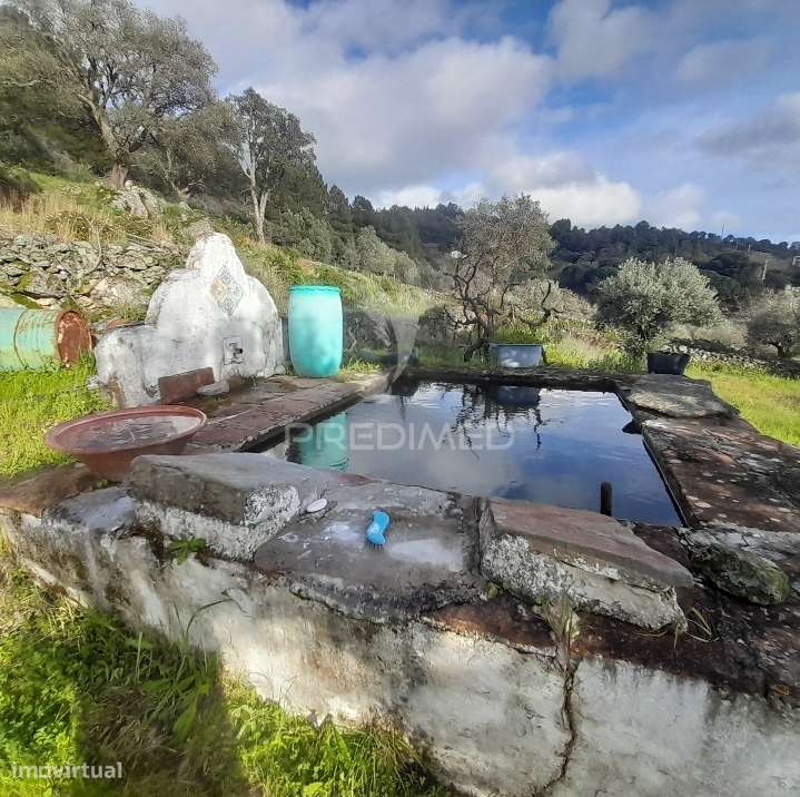 Quinta - Grande imagem: 5/16