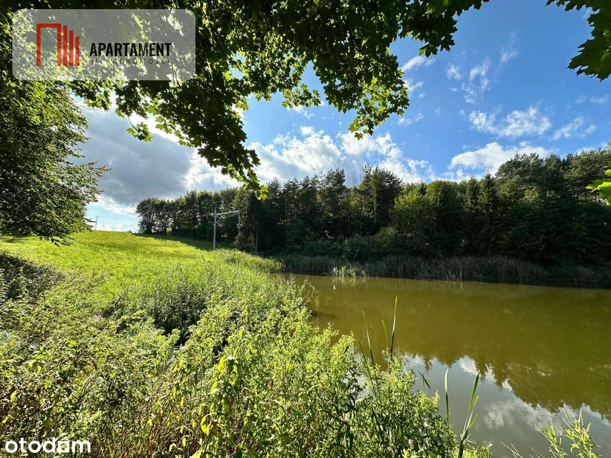 Unikalna działka 3,76 ha z własnym jeziorem! - Pełny obrazek: 5/15