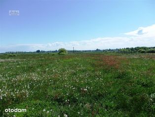 Działka budowlana - Mrzezino