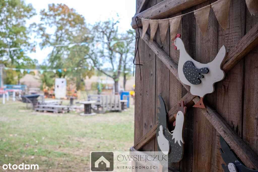 Siedlisko marzeń w okolicach Augustowa-19