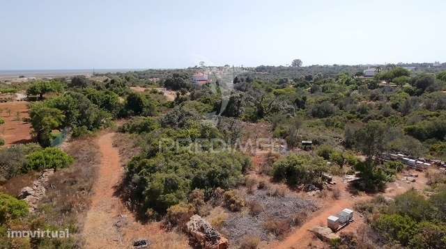 Terreno Rústico com Vista Mar – Fuseta, Olhão - Grande imagem: 5/5