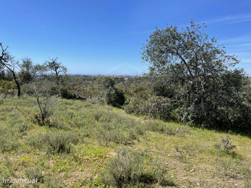 Terreno Rústico com 2160 m2 em Paderne - Albufeira, Algarve - Grande imagem: 4/6