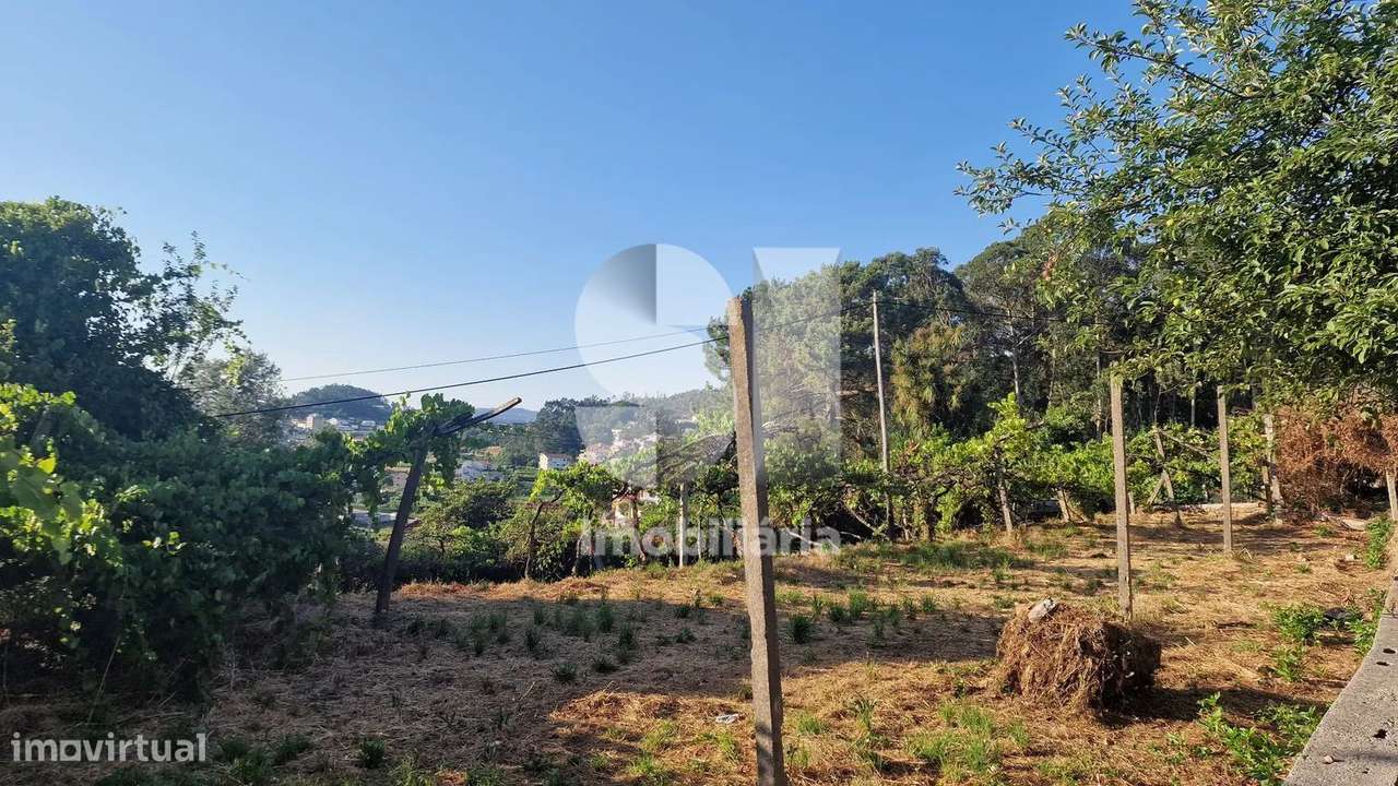 Terreno - potencial de investimento - Astromil - Paredes-9