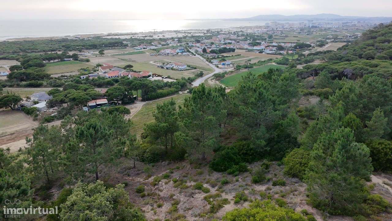Terreno Rústico com Vista Mar e Potencial Ecológico-28