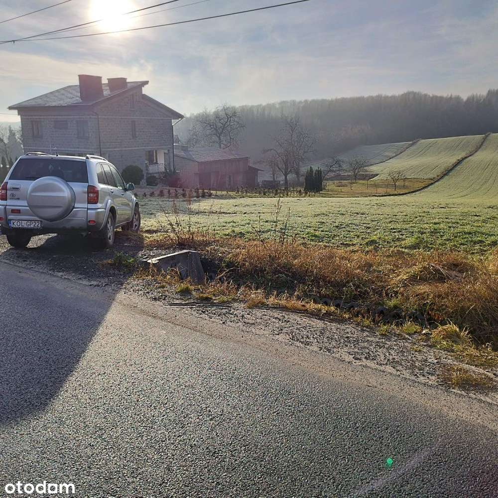 Duża działka rolna 12576 m² blisko lasu - Pełny obrazek: 4/6