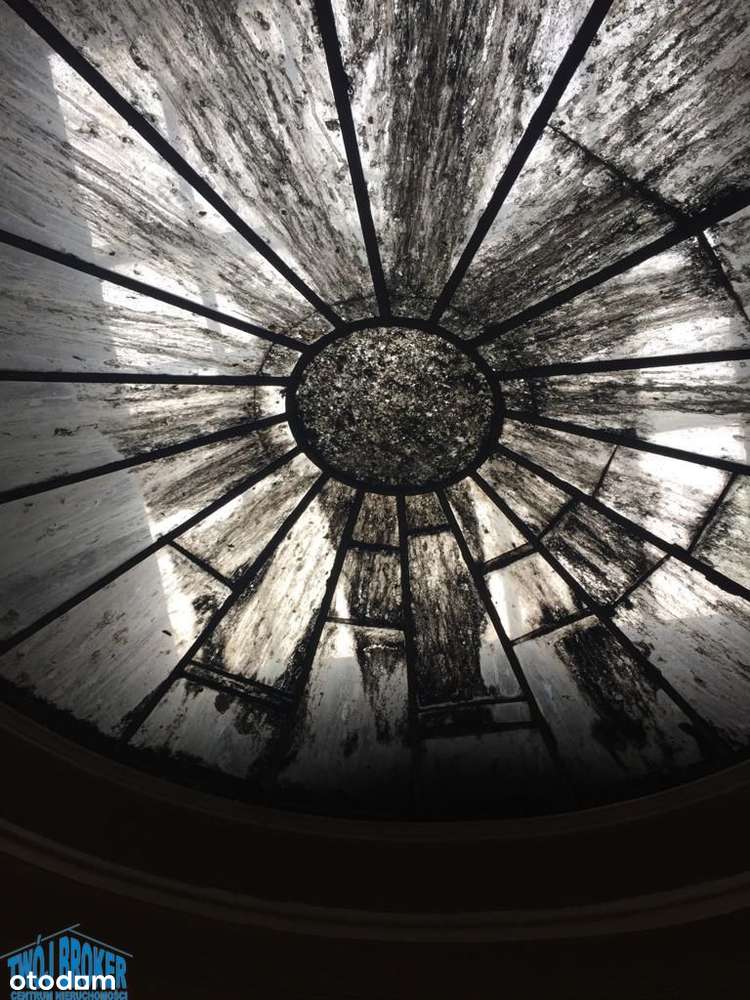 Kamienica Starówka Toruń - Pełny obrazek: 5/15