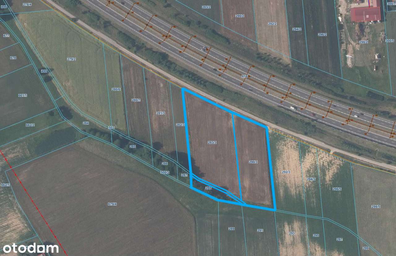 Działka rolna  – Panieńszczyzna, gm. Jastków- 12 850 m²-3