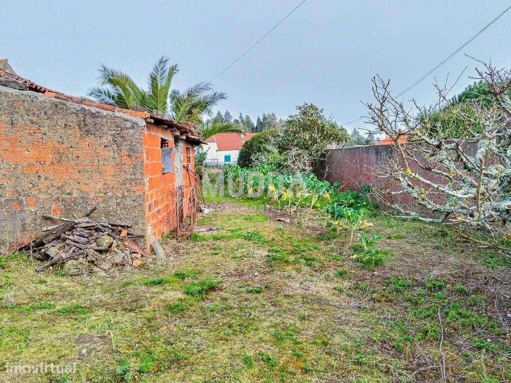 Ruína para recuperar com terreno de 1.050 m2 poço e árvores de fruto A-15