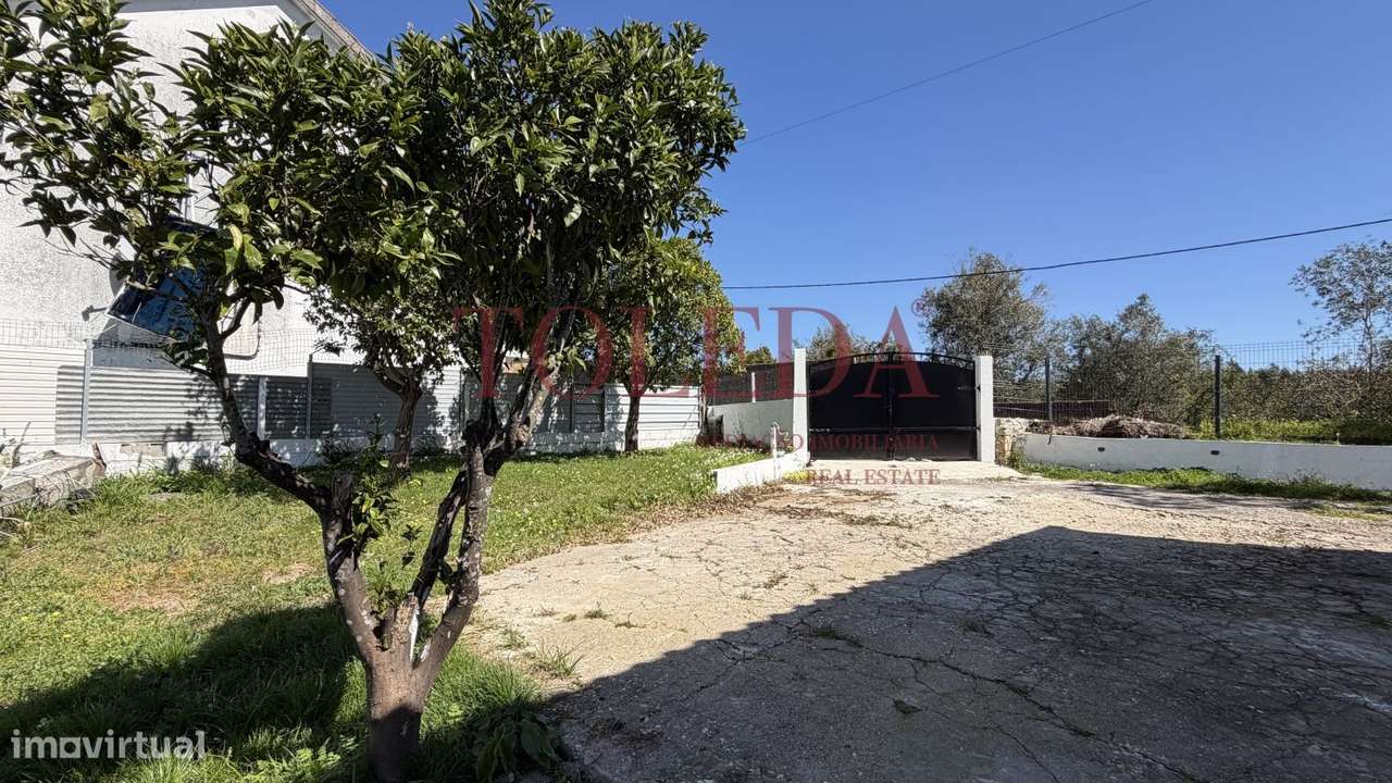 Quintinha em Tomar com 2 casas-43