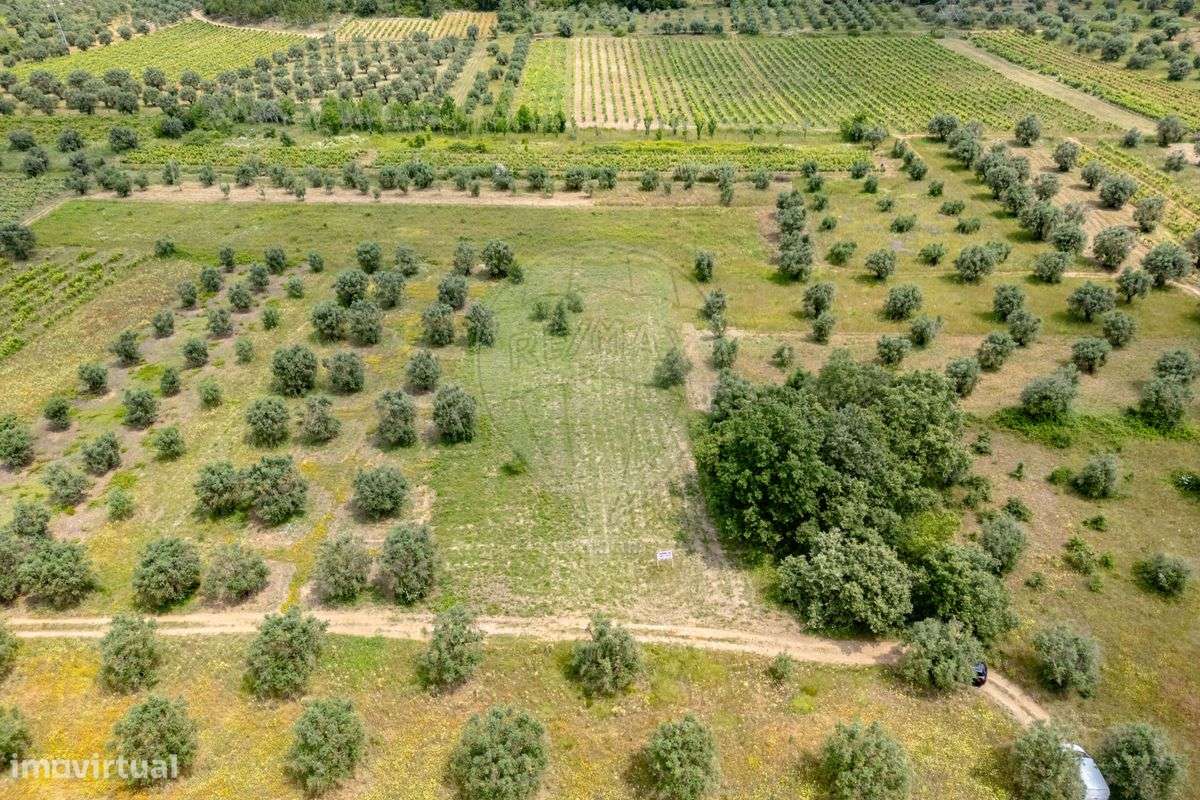 Terreno  para venda - Grande imagem: 3/12