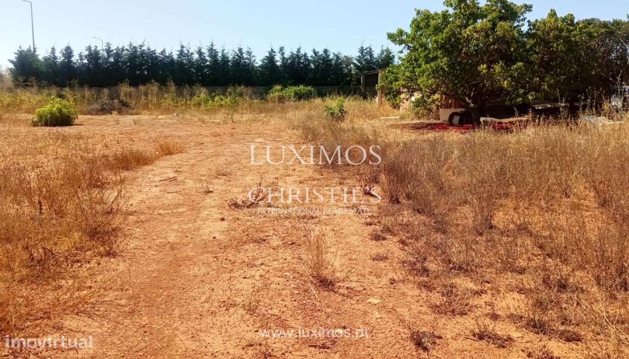 Terreno para construção de moradia, para venda em praia da Luz, Alga - Grande imagem: 5/8