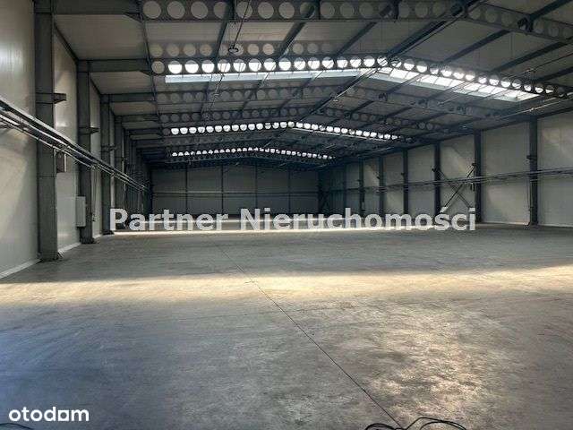 Hala - Magazyn 2600 M !!!! - Pełny obrazek: 3/10