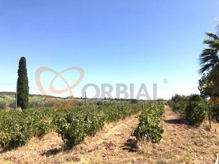 Fantástica Moradia situada na Vidigueira, Alentejo, Portugal - Grande imagem: 4/24