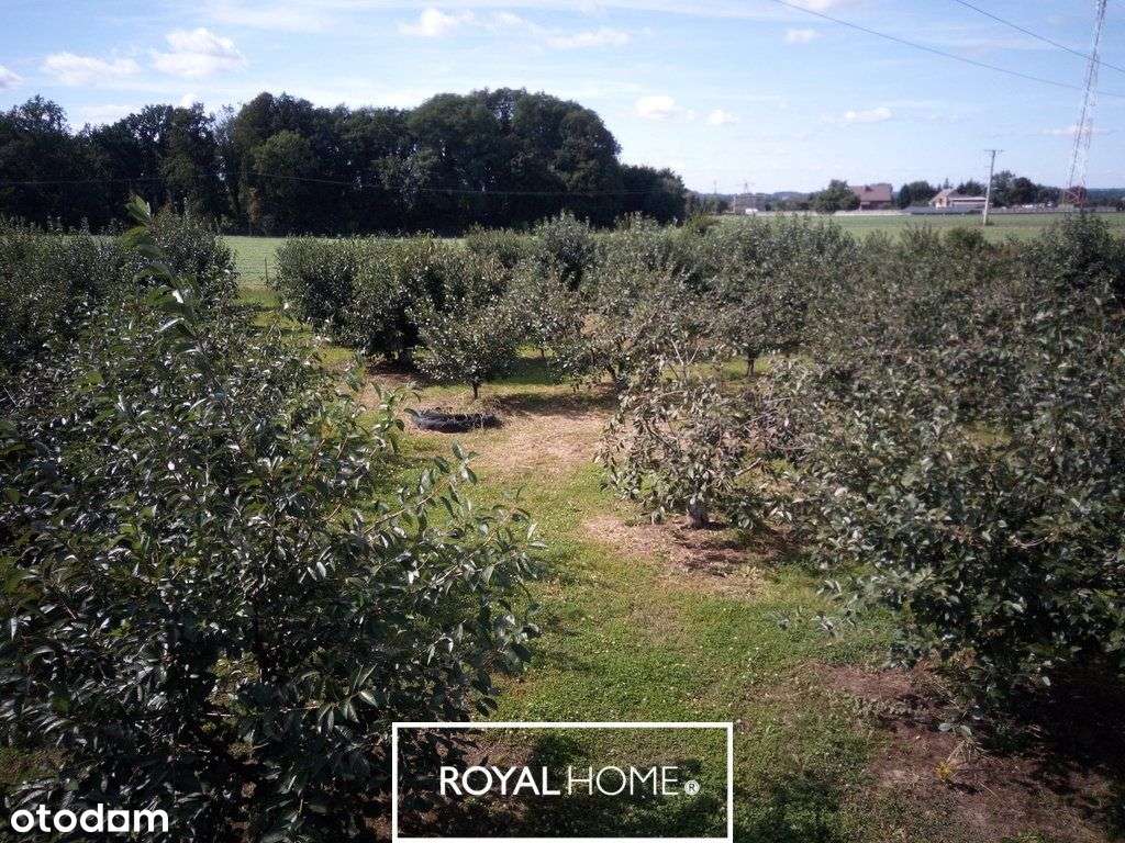 Działka rolna w przepięknej miejscowości - Pełny obrazek: 5/5