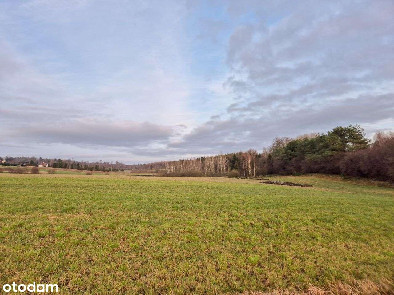 Działka, 1 336 m², Rybno-5