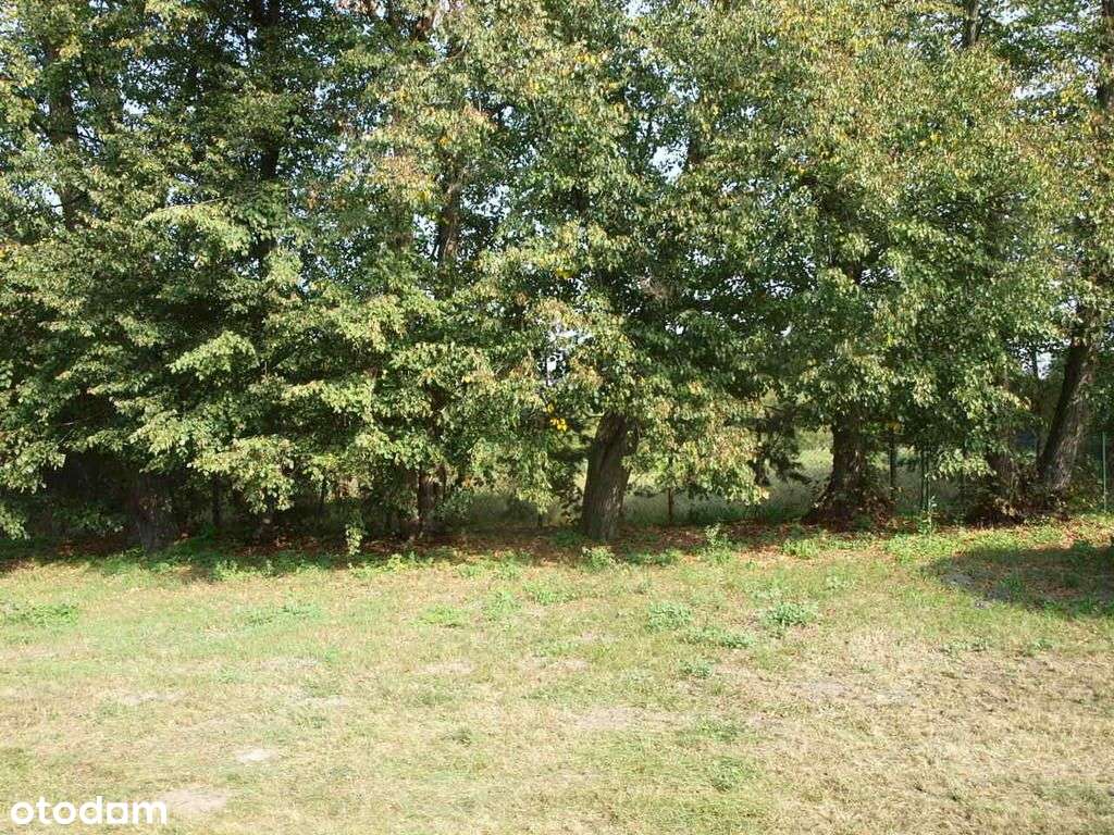 Sprzedam dom - Pratulin-6