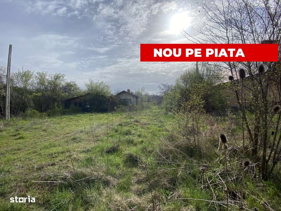 Teren intravilan 1.400 mp - Schitu Golesti AG - Imagine principală: 2/8