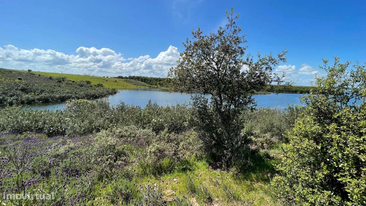 Terreno na Margem Alqueva-7