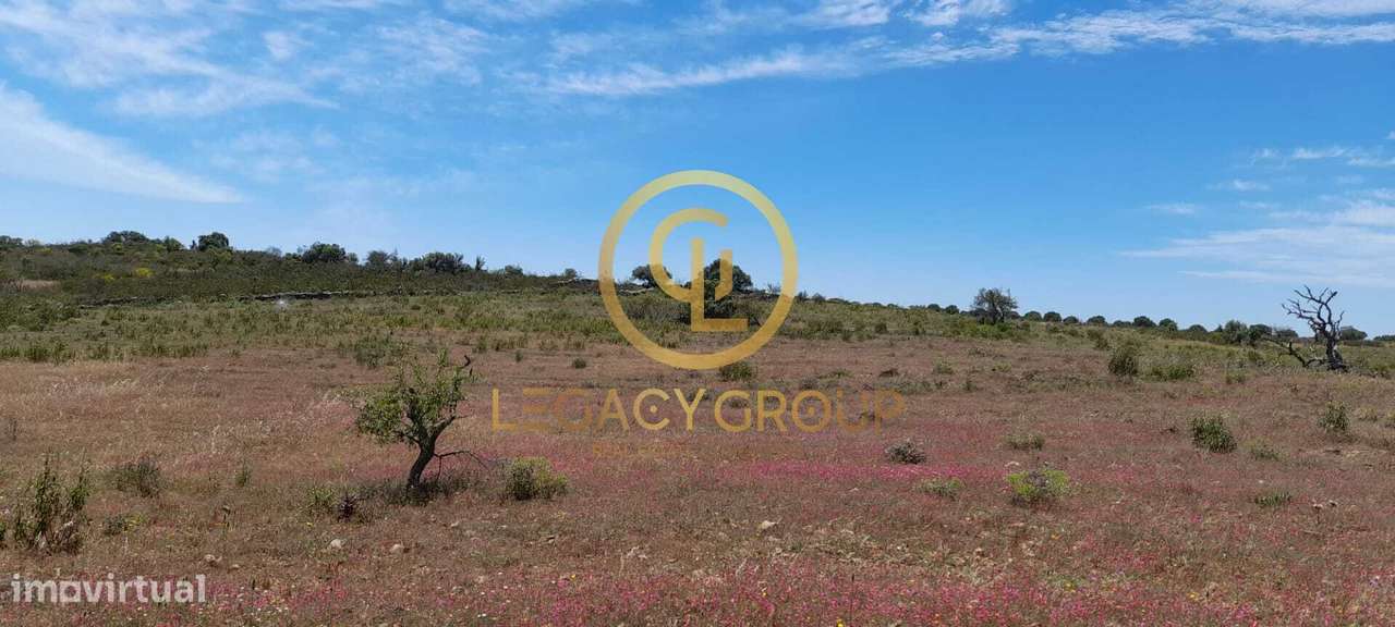 Terreno Rústico para Venda em Velhas, Giões – 5.230 m² - Grande imagem: 4/12