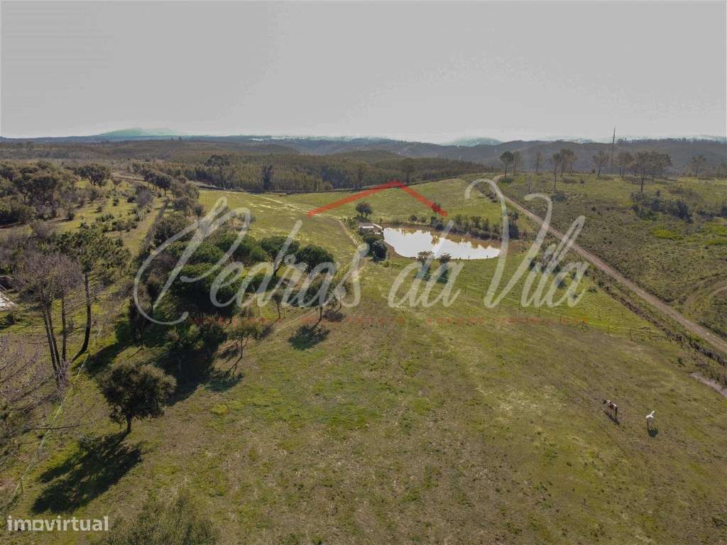 Quinta com 6,5ha em Vale Juncal - São Teotónio-38