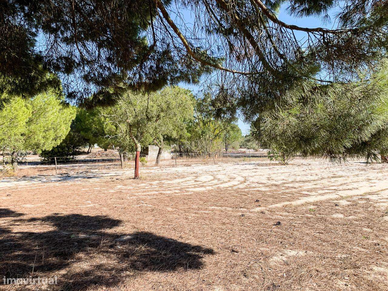 Oportunidade de Investimento - Terreno Rústico , Grândola! - Grande imagem: 4/33