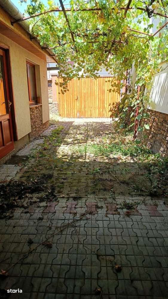 BEIUS, AUREL VLAICU CASA P+M, 200 MP SI TEREN 250 MP.-15