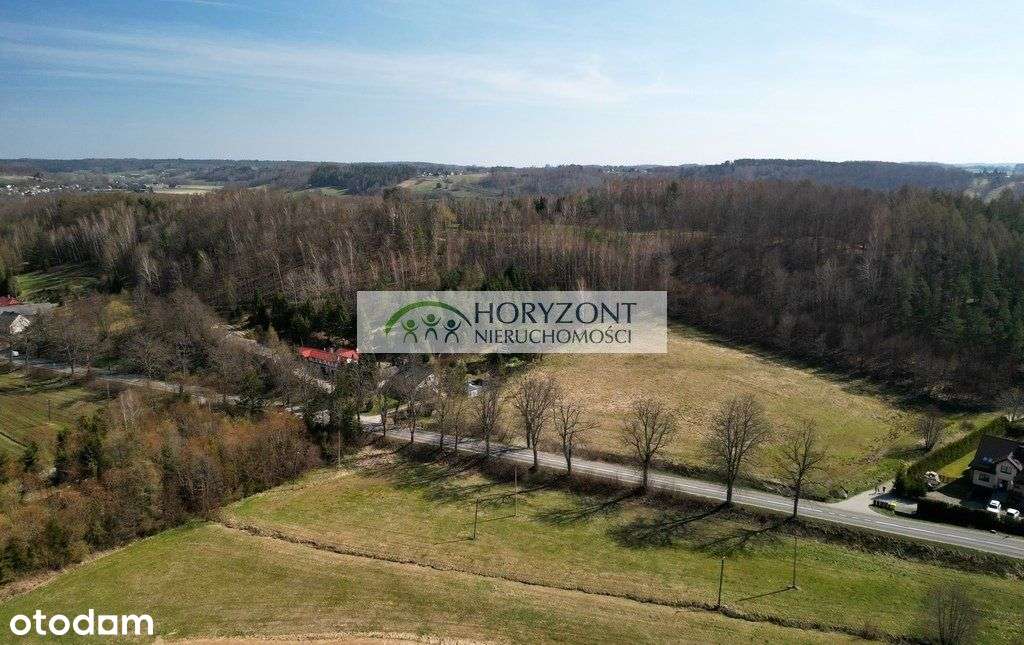 Brodnica Górna działka przy lesie - Pełny obrazek: 4/6