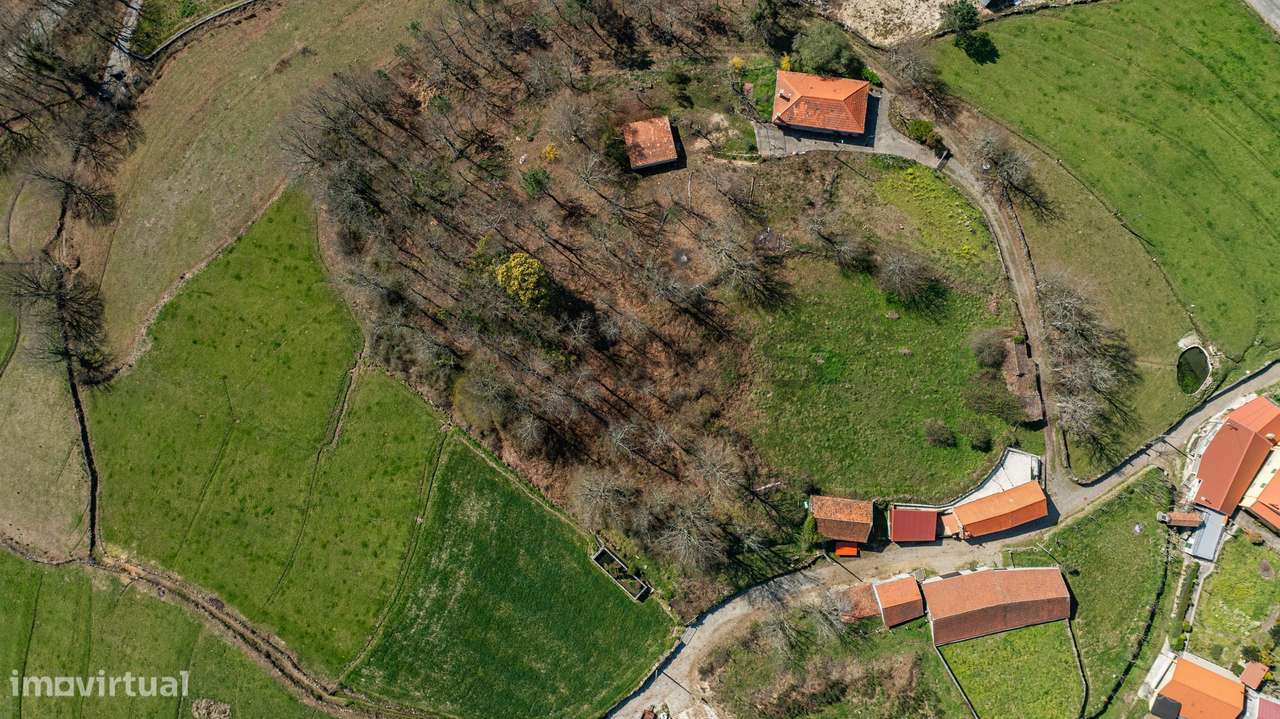 Terreno para construção – Currais, Reigoso, Montalegre-12