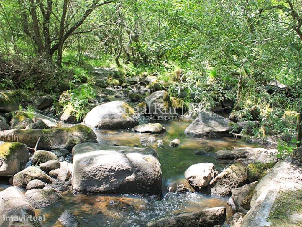 Quinta Rural 8.000 m2 - 2 Casas Habitáveis - confina com Ribeira - Grande imagem: 3/33