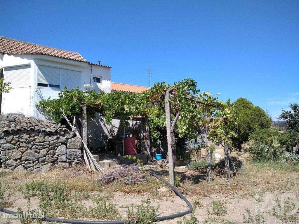 Quinta T6 em Gonçalo de 215,00 m2 - Grande imagem: 3/28