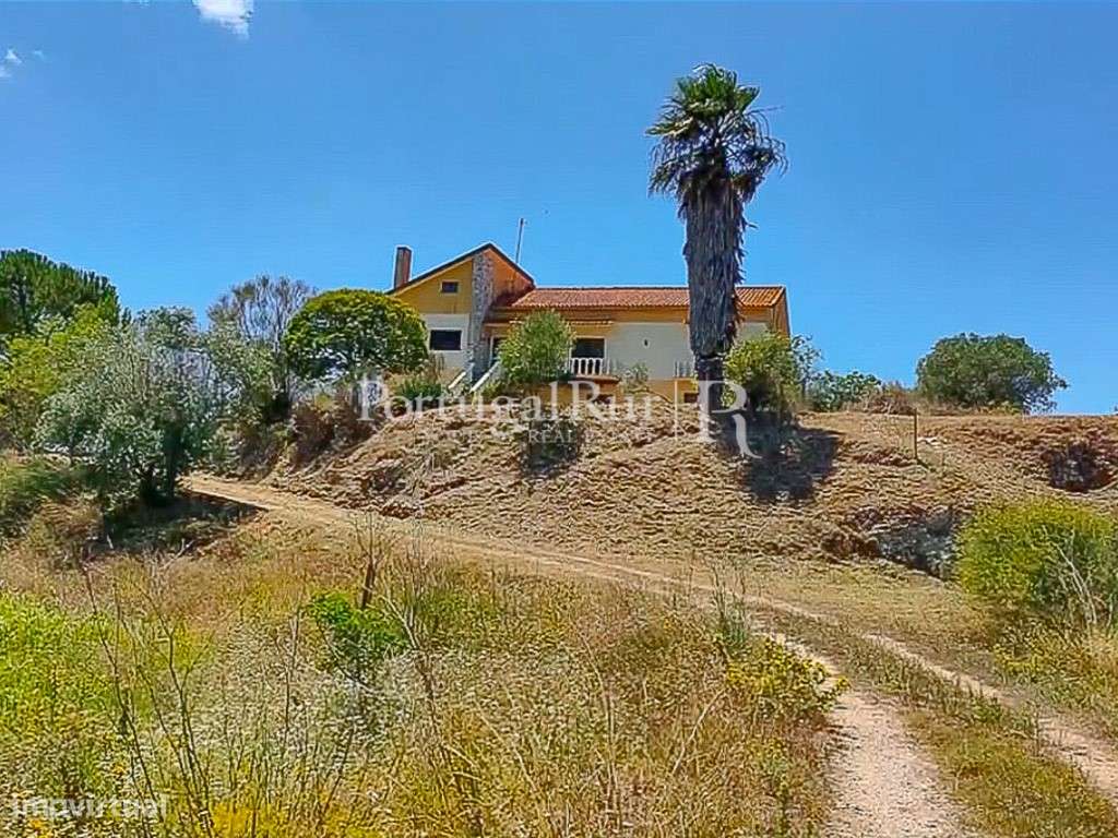 Encantadora Quinta em Alcanena com Moradia e Potencial Agrícola - Grande imagem: 1/29