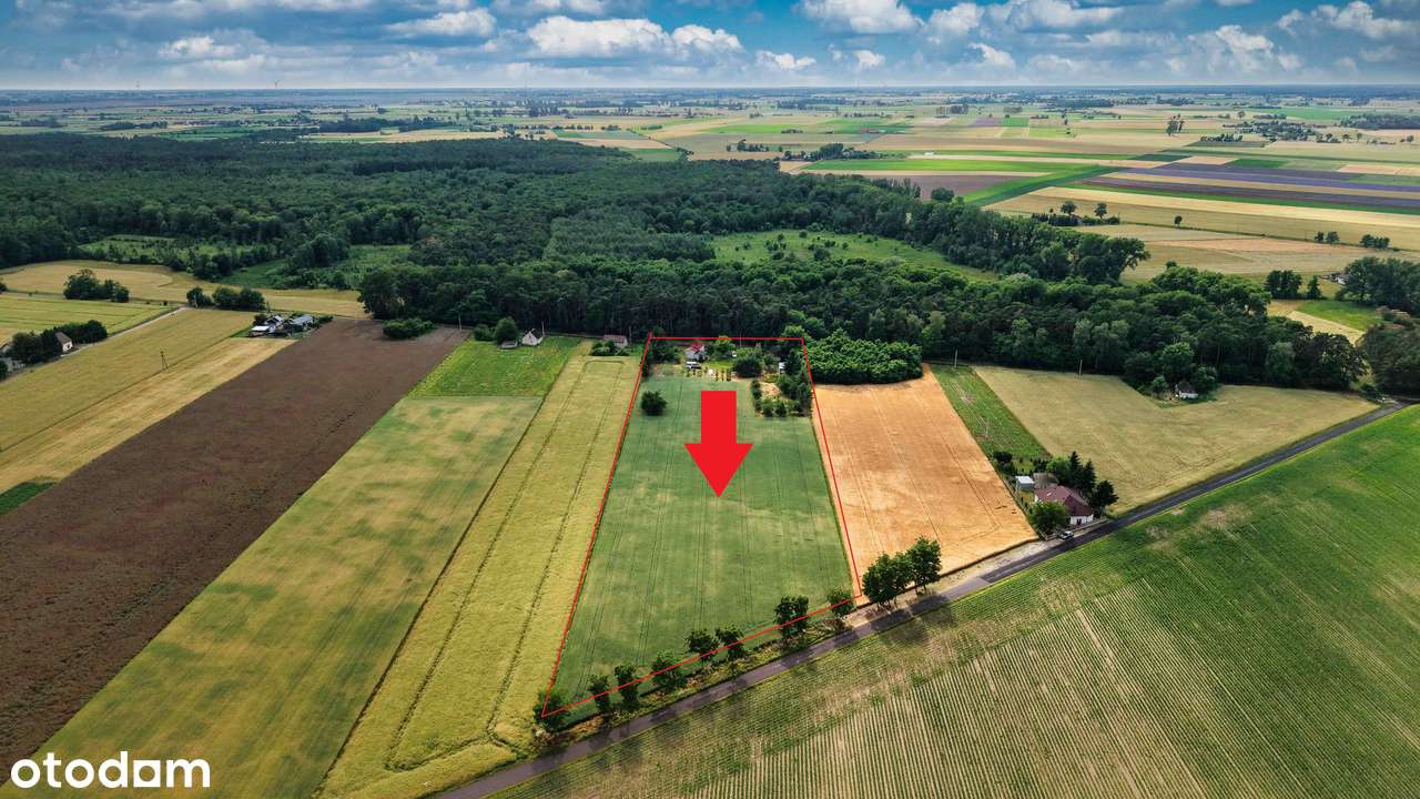 Dom, 68,68 m², Ościsłowo-10