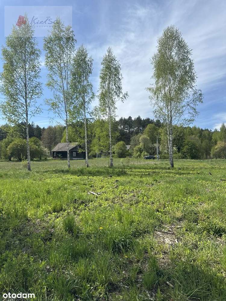Pięknie położone działki - Rowek, gm. Szudziałowo-6