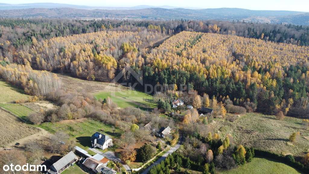 Działka na sprzedaż Cisów-0