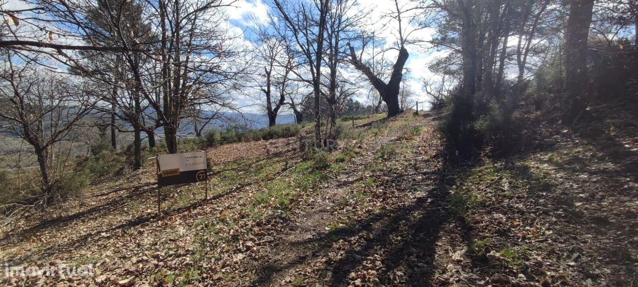 Terreno com possibilidade para construção de um armazém