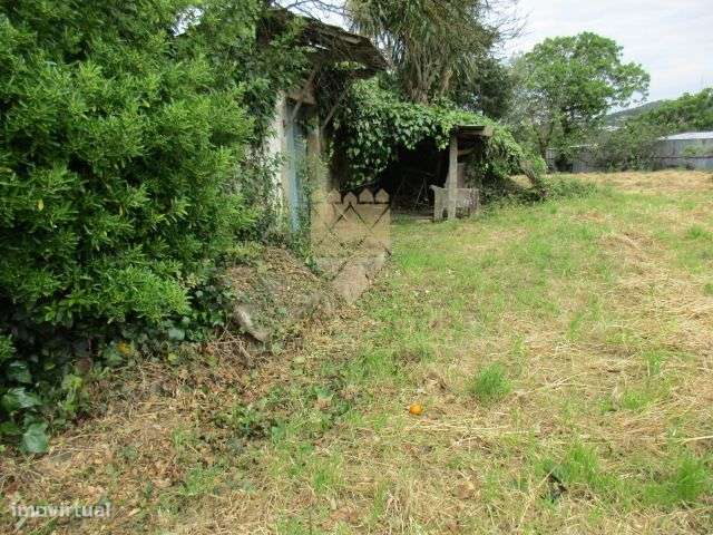 Quintinha para venda com moradia para restauro - Gandra - Grande imagem: 5/14